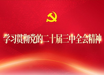 學(xué)習(xí)貫徹黨的二十屆三中全會精神